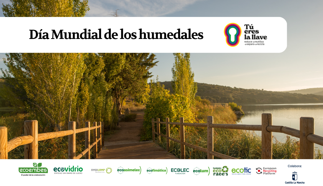 Lee más sobre el artículo Castilla-La Mancha celebra el Día Mundial de los Humedales con iniciativas para proteger estos ecosistemas vitales